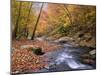 Autumn Color Along River-James Randklev-Mounted Photographic Print