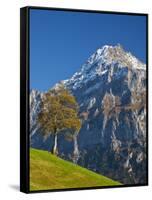 Autumn Color and Alpine Meadow, Wetterhorn and Grindelwald, Berner Oberland, Switzerland-Doug Pearson-Framed Stretched Canvas