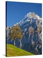 Autumn Color and Alpine Meadow, Wetterhorn and Grindelwald, Berner Oberland, Switzerland-Doug Pearson-Stretched Canvas