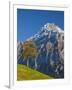 Autumn Color and Alpine Meadow, Wetterhorn and Grindelwald, Berner Oberland, Switzerland-Doug Pearson-Framed Photographic Print