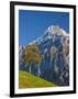 Autumn Color and Alpine Meadow, Wetterhorn and Grindelwald, Berner Oberland, Switzerland-Doug Pearson-Framed Photographic Print