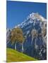 Autumn Color and Alpine Meadow, Wetterhorn and Grindelwald, Berner Oberland, Switzerland-Doug Pearson-Mounted Photographic Print