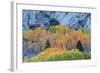 Autumn Color Array, Sierra Nevada-Vincent James-Framed Photographic Print