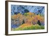 Autumn Color Array, Sierra Nevada-Vincent James-Framed Photographic Print