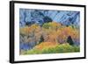 Autumn Color Array, Sierra Nevada-Vincent James-Framed Photographic Print