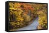 Autumn Color at Brown County State Park, Indiana, USA-Chuck Haney-Framed Stretched Canvas