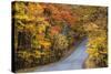 Autumn Color at Brown County State Park, Indiana, USA-Chuck Haney-Stretched Canvas