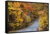 Autumn Color at Brown County State Park, Indiana, USA-Chuck Haney-Framed Stretched Canvas