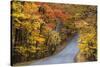 Autumn Color at Brown County State Park, Indiana, USA-Chuck Haney-Stretched Canvas