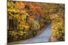 Autumn Color at Brown County State Park, Indiana, USA-Chuck Haney-Mounted Photographic Print