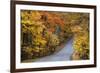 Autumn Color at Brown County State Park, Indiana, USA-Chuck Haney-Framed Photographic Print