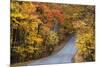 Autumn Color at Brown County State Park, Indiana, USA-Chuck Haney-Mounted Photographic Print