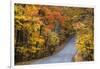 Autumn Color at Brown County State Park, Indiana, USA-Chuck Haney-Framed Photographic Print