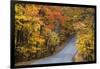 Autumn Color at Brown County State Park, Indiana, USA-Chuck Haney-Framed Photographic Print