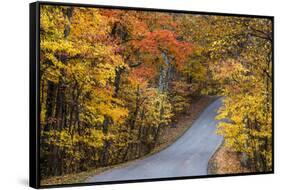 Autumn Color at Brown County State Park, Indiana, USA-Chuck Haney-Framed Stretched Canvas