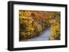 Autumn Color at Brown County State Park, Indiana, USA-Chuck Haney-Framed Photographic Print