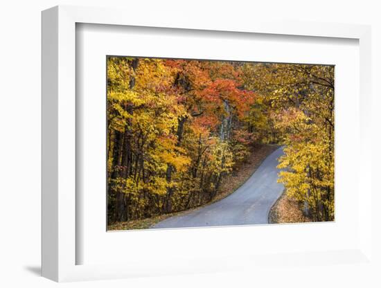 Autumn Color at Brown County State Park, Indiana, USA-Chuck Haney-Framed Photographic Print