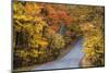 Autumn Color at Brown County State Park, Indiana, USA-Chuck Haney-Mounted Photographic Print
