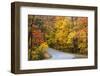 Autumn Color at Brown County State Park, Indiana, USA-Chuck Haney-Framed Photographic Print