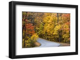 Autumn Color at Brown County State Park, Indiana, USA-Chuck Haney-Framed Photographic Print