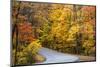 Autumn Color at Brown County State Park, Indiana, USA-Chuck Haney-Mounted Photographic Print