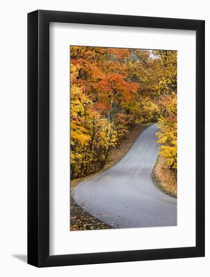 Autumn Color at Brown County State Park, Indiana, USA-Chuck Haney-Framed Photographic Print