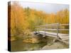 Autumn Color at Easton Ponds with Trail, Wenatchee National Forest, Washington, USA-Jamie & Judy Wild-Stretched Canvas