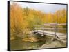 Autumn Color at Easton Ponds with Trail, Wenatchee National Forest, Washington, USA-Jamie & Judy Wild-Framed Stretched Canvas