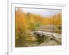 Autumn Color at Easton Ponds with Trail, Wenatchee National Forest, Washington, USA-Jamie & Judy Wild-Framed Photographic Print