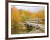 Autumn Color at Easton Ponds with Trail, Wenatchee National Forest, Washington, USA-Jamie & Judy Wild-Framed Photographic Print