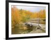 Autumn Color at Easton Ponds with Trail, Wenatchee National Forest, Washington, USA-Jamie & Judy Wild-Framed Photographic Print