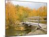 Autumn Color at Easton Ponds with Trail, Wenatchee National Forest, Washington, USA-Jamie & Judy Wild-Mounted Photographic Print