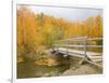 Autumn Color at Easton Ponds with Trail, Wenatchee National Forest, Washington, USA-Jamie & Judy Wild-Framed Photographic Print