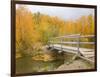 Autumn Color at Easton Ponds with Trail, Wenatchee National Forest, Washington, USA-Jamie & Judy Wild-Framed Photographic Print