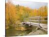 Autumn Color at Easton Ponds with Trail, Wenatchee National Forest, Washington, USA-Jamie & Judy Wild-Stretched Canvas