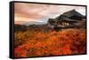 Autumn Color at Kiyomizu-Dera Temple in Kyoto, Japan-Luciano Mortula - LGM-Framed Stretched Canvas