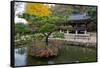 Autumn color at Namsangol folk village, Seoul, South Korea-null-Framed Stretched Canvas