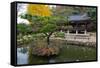 Autumn color at Namsangol folk village, Seoul, South Korea-null-Framed Stretched Canvas