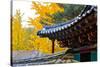 Autumn color at Namsangol folk village, Seoul, South Korea-null-Stretched Canvas