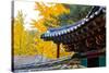 Autumn color at Namsangol folk village, Seoul, South Korea-null-Stretched Canvas