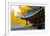 Autumn color at Namsangol folk village, Seoul, South Korea-null-Framed Photographic Print