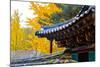 Autumn color at Namsangol folk village, Seoul, South Korea-null-Mounted Photographic Print