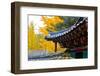 Autumn color at Namsangol folk village, Seoul, South Korea-null-Framed Photographic Print