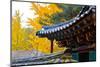 Autumn color at Namsangol folk village, Seoul, South Korea-null-Mounted Photographic Print