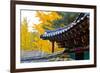 Autumn color at Namsangol folk village, Seoul, South Korea-null-Framed Photographic Print