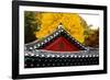 Autumn color at Namsangol folk village, Seoul, South Korea-null-Framed Photographic Print