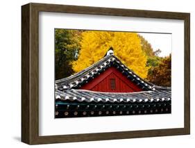 Autumn color at Namsangol folk village, Seoul, South Korea-null-Framed Photographic Print