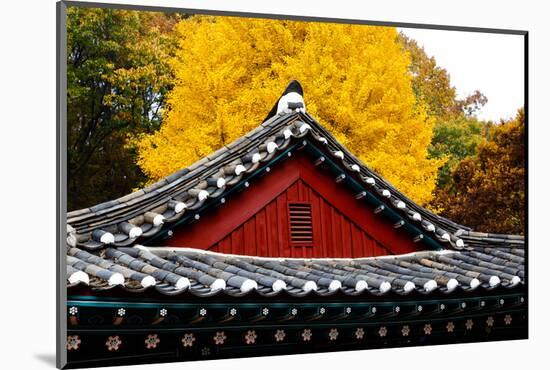 Autumn color at Namsangol folk village, Seoul, South Korea-null-Mounted Photographic Print