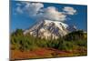 Autumn color at Paradise Meadows in Mount Rainier National Park, Washington State, USA-Chuck Haney-Mounted Photographic Print