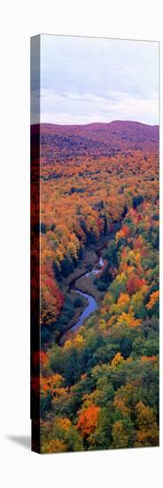 Autumn Color at Porcupine State Park, Michigan's Upper Peninsula, Michigan-null-Stretched Canvas